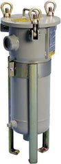 Parker - 2 Inch Pipe, FNPT End Connections, 18 Inch Long Cartridge, 42.56 Inch Long, Cartridge Filter Housing with Pressure Relief - 1 Cartridge, 150 psi Max Working Pressure, 304L Grade - Caliber Tooling