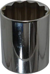 Proto - 1/2" Drive, Standard Hand Socket - 12 Points, 1-25/32" OAL, Chrome Finish - Caliber Tooling