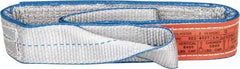 Lift-All - 3' Long x 2" Wide, 6,400 Lb Vertical Capacity, 2 Ply, Polyester Web Sling - 5,000 Lb Choker Capacity, Silver (Color) - Caliber Tooling