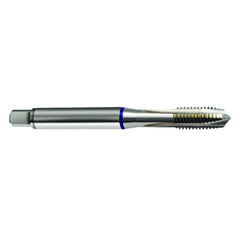 M3 × 0.5 3FL 6H PM Cobalt Spiral Point Plug Blue Ring Tap-Bright FORM-B - Caliber Tooling