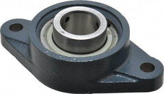 Value Collection - 6-1/8" OALBall Bearing Pillow Block - Cast Iron - Caliber Tooling