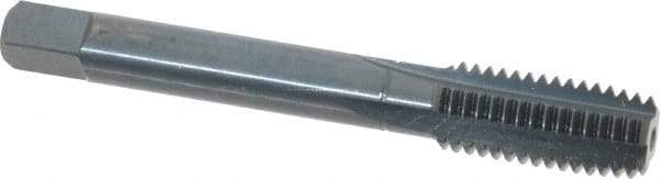 Balax - 4 Flutes, M12x1.75 Metric Coarse, Nitride Oxide Coating, High Speed Steel, Cleanout Tap - 3-3/8 Inch Overall Length, 7/16 Inch Square Length, 0.275 Inch Square Size, 0.367 Inch Shank Diameter, Modified Bottoming - Exact Industrial Supply