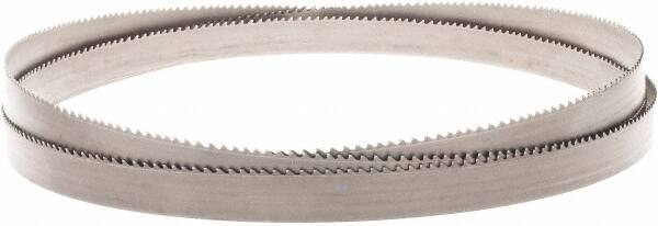 Lenox - 3 to 4 TPI, 15' Long x 1-1/4" Wide x 0.042" Thick, Welded Band Saw Blade - Carbide-Tipped, Carbide Tipped, Toothed Edge - Caliber Tooling