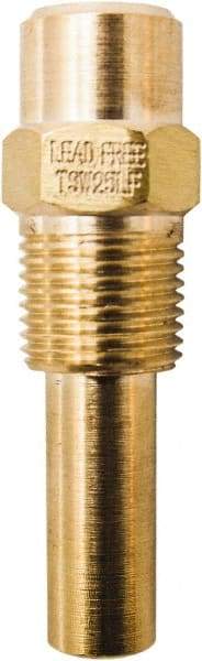 Winters - 2 Inch Overall Length, 1/2 Inch Thread, Brass Thermowell - 1.4 Inch Insertion Length - Caliber Tooling