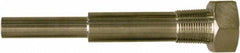 Winters - 6-3/4 Inch Overall Length, 3/4 Inch Thread, 304 Stainless Steel Thermowell - 5 Inch Insertion Length - Caliber Tooling