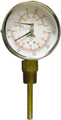 Winters - 3" Dial, 1/2 Thread, 0-75 Scale Range, Pressure Gauge - Lower Connection Mount, Accurate to 0.03% of Scale - Caliber Tooling