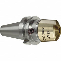 Guhring - BT30 HMC3000 28mm Shank Diam Taper Shank, 4mm Hole Diam, Hydraulic Tool Holder/Chuck - 55mm Projection, 34mm Clamp Depth, 30,000 RPM - Exact Industrial Supply