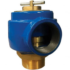 Control Devices - 2" Inlet, 2" Outlet, Noncode Safety Relief Valve - Caliber Tooling