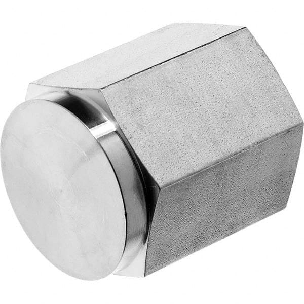 USA Sealing - 1/8" 316 Stainless Steel Pipe Hex Cap - Caliber Tooling