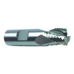 3/4" Dia. - 2-7/8" OAL - TiN M42 - Roughing SE EM - 3 FL - Caliber Tooling