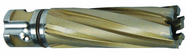 13/16 X 1 CARBIDE CUTTER - Caliber Tooling