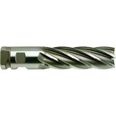 2"X9-3/4 6FL SE CC HD TICN COB EM - Caliber Tooling