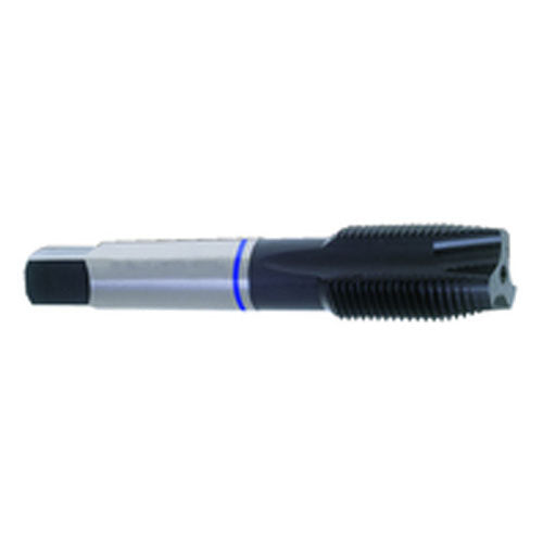 ‎12-24 Dia-H3-3 FL-Std Spiral Point Tap-Blue Ring - Caliber Tooling