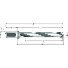 250Y0H-20FM Flanged T-A® Spade Blade Holder - Helical Flute- Series Y - Caliber Tooling