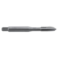 ‎1/4″-28; Plug; H6; VTP Spiral Pointed - Caliber Tooling