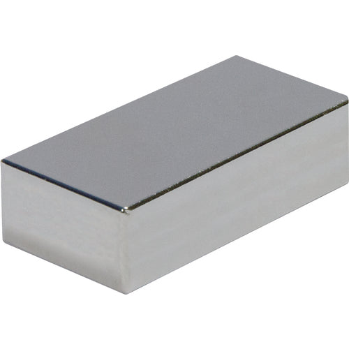 .12 x .50 × 1 Rectangular Rare Earth Magnet - Caliber Tooling