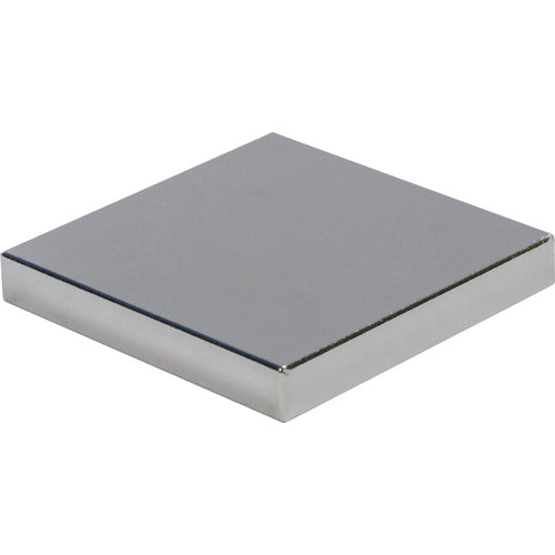 .12 × 1 × 1 Rectangular Rare Earth Magnet - Caliber Tooling